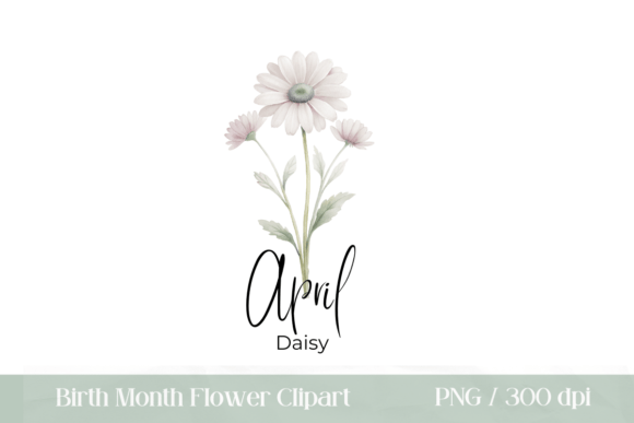 Download Birth Month Flower April Daisy PNG - April Collection